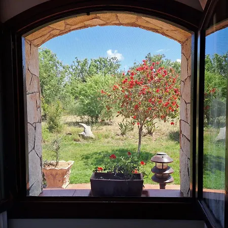 Castiglias 3* אלגהרו