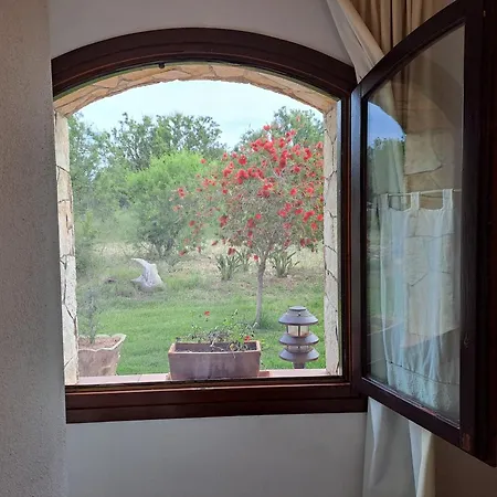 Bed & Breakfast Castiglias Alghero